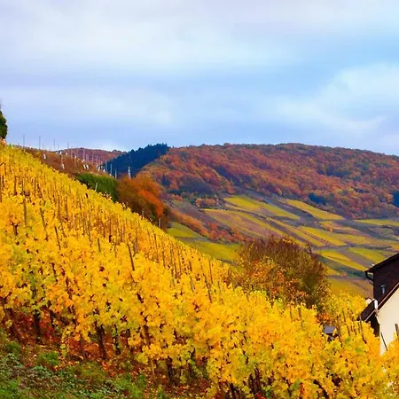 Haus Im Weinberg Hébergement de vacances *