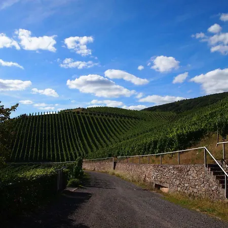 Hébergement de vacances Haus Im Weinberg *